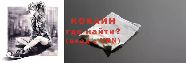 мяу мяу мука Михайлов