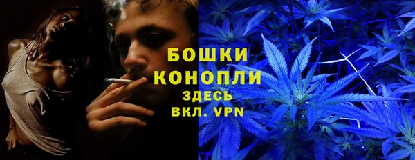 мяу мяу мука Михайлов