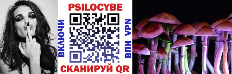 Псилоцибиновые грибы Psilocybine cubensis  Купить  Кингисепп 